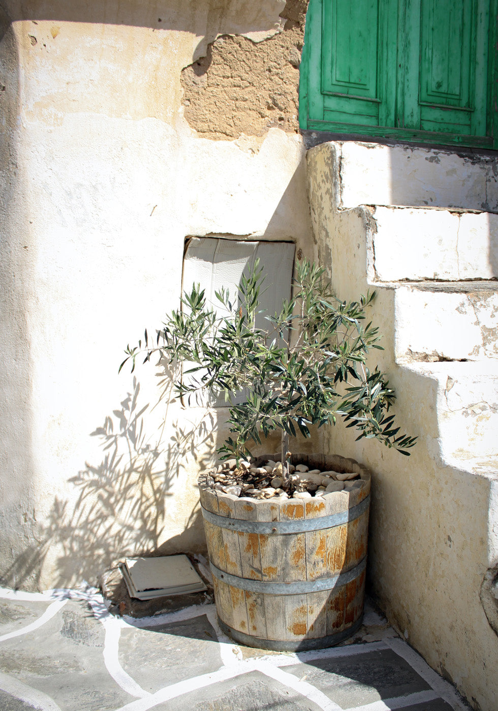 Olive Tree Entrance Plakat - Posterbox.no