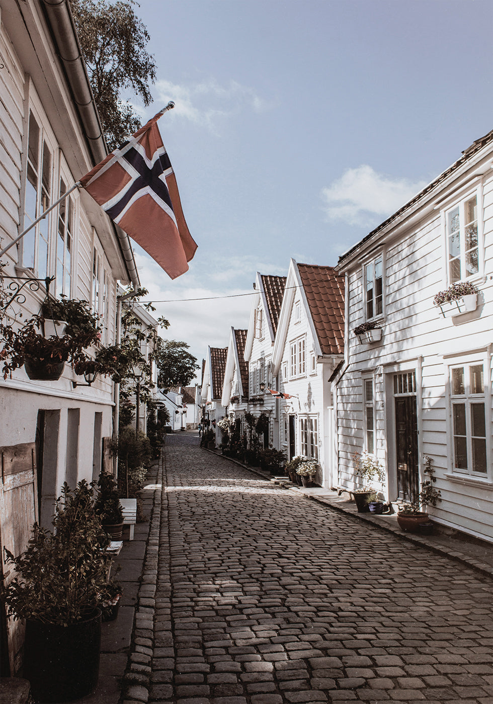 Poster Charmante Straße in Norwegen