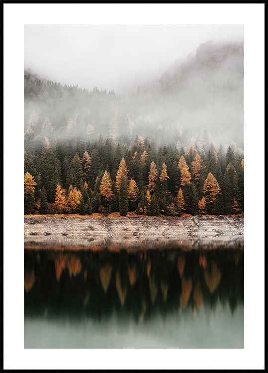 Poster Herbst Reflexionen im nebligen Wald