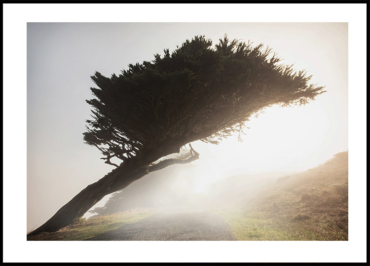 Poster Gekippter Baum 