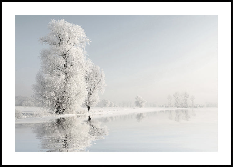 Frostiger Winterbaum Nr. 2 Poster