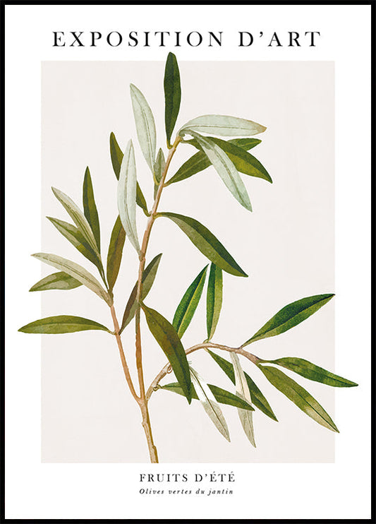 Poster Olive