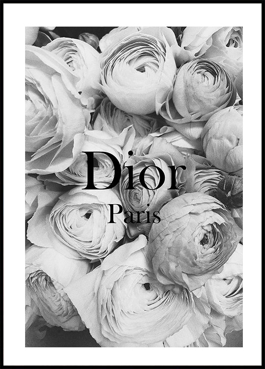 Dior Ranunkeln Poster 