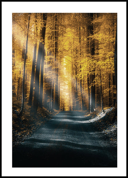 Poster Herbstwald 