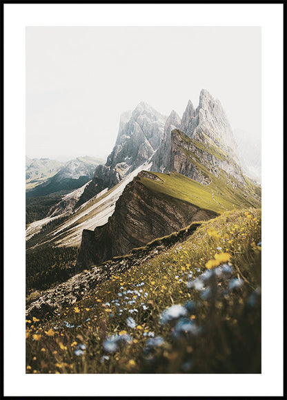 Poster Alpenblüten und Gipfel 