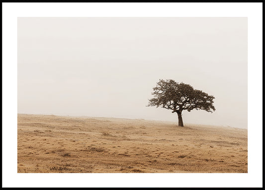 Poster Herbst Wiese und einsamer Baum