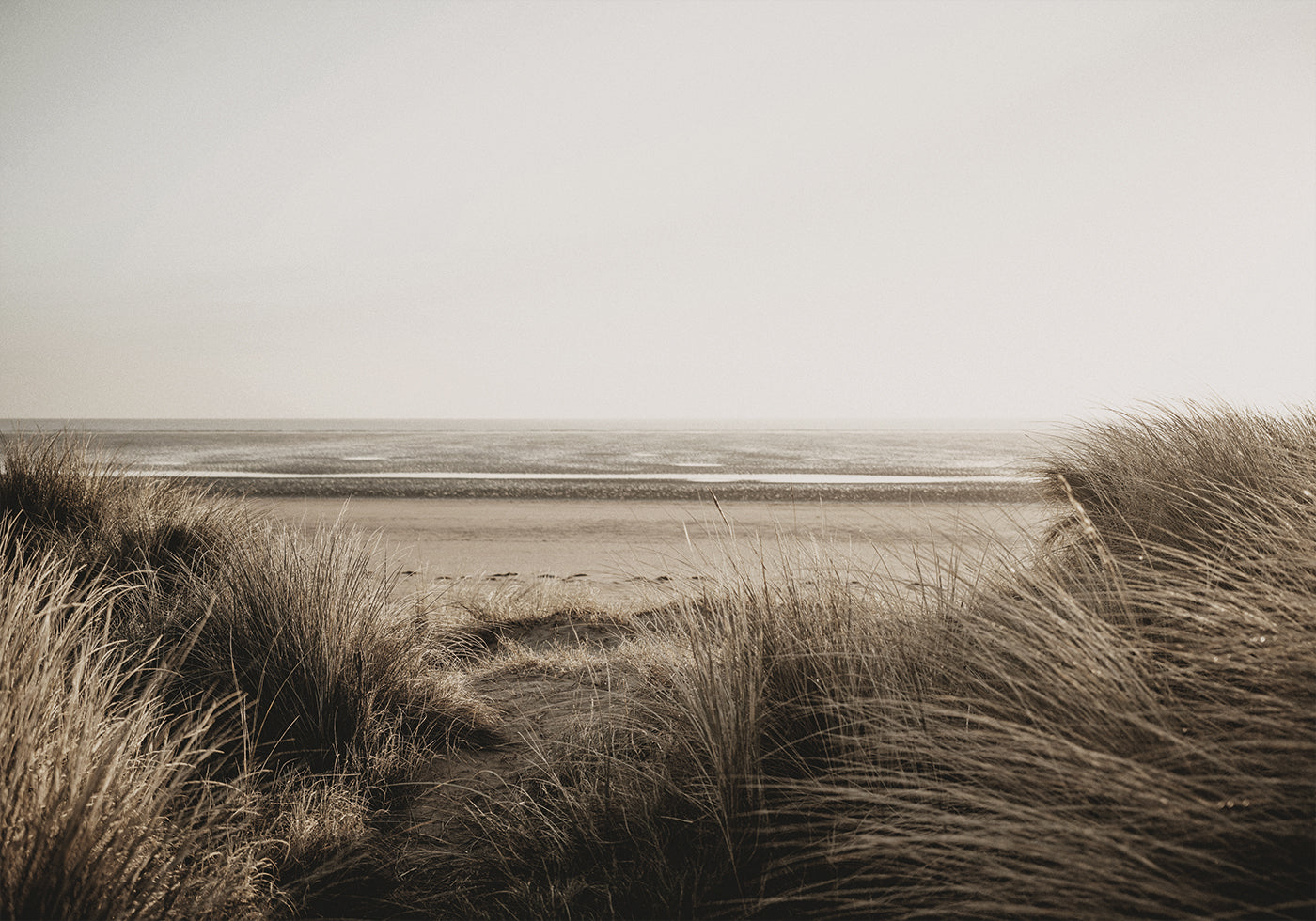 Poster Blick auf den Strand hinter dem Gras 