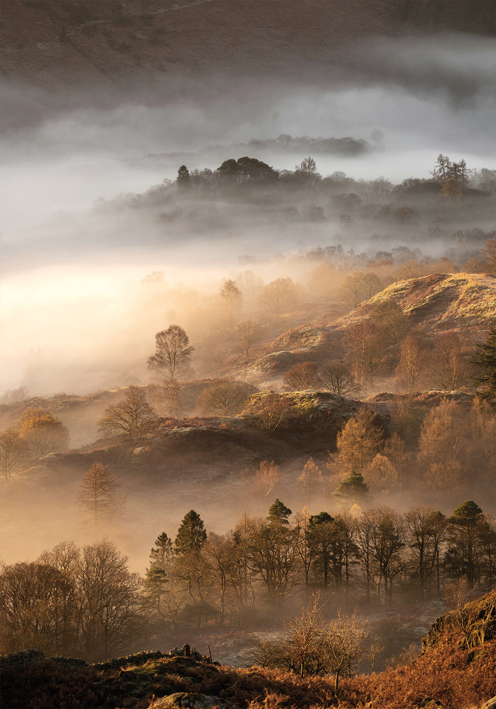 Wundervoller Herbstmorgen Poster 